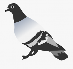 Pigeon Clipart Small Dove - Pigeons And Doves #1293230 ...