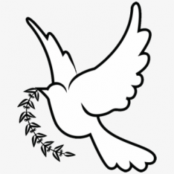 Columbidae Doves As Symbols Peace Drawing Clip Art - Clip ...