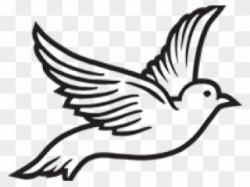 Dove Clipart Roman Catholic - Pigeons And Doves - Png ...