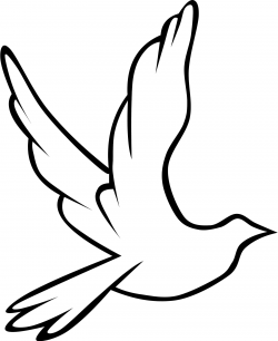 Images For Peace Dove Template - Clip Art Library