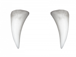 Vampire Teeth with Pointed Tooth PNG (Isolated-Objects) | Textures ...