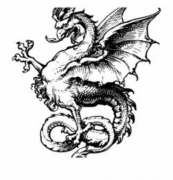 Dragon Clipart Black And White 22604 Chinese Dragon - Public ...