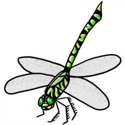 50 FREE Dragonfly Clip Art 22
