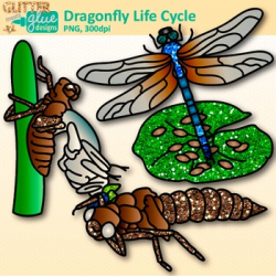 Dragonfly Life Cycle Clip Art: Insect and Bug Graphics {Glitter Meets Glue}