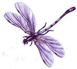 pink dragonfly clipart - Google Search | Dragonflys | Fly ...