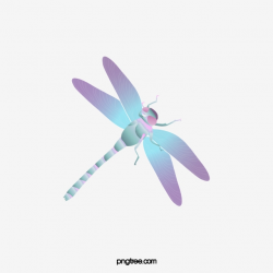 Dragonfly, Dragonfly Clipart, Color PNG Transparent Clipart ...