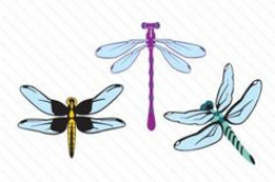 11 Best dragonfly clipart images | Dragonfly clipart, Dragon ...