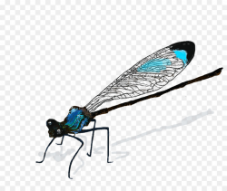 dragonfly drawing clipart Dragonfly Damselflies Drawing ...