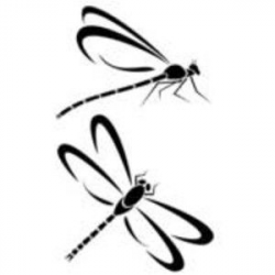 damselfly drawings | Dragonflies image - vector clip art ...