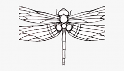 Tattoos Clipart Dragonfly - Dragonfly Outline #380029 - Free ...