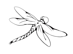 Drawing Dragonfly Clipart - Clipart Kid | Butterflies ...