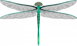 Clipart - teal dragonfly