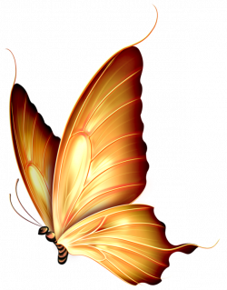 Butterfly 12.png | Butterfly, Tattoo and Dragonflies