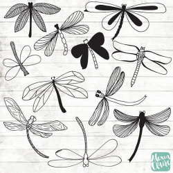 Dragonfly Clipart - 11 Hand Drawn Dragonfly Clipart - Bugs ...