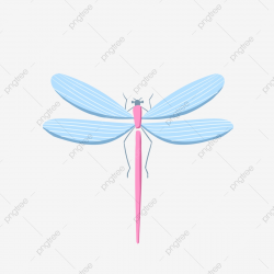 Dragonfly, Dragonfly Clipart, Hand Painted, Cartoon PNG ...