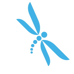 Dragonfly.png (1000×1000) | Ideas-Dragonfly's and Damselfly's ...