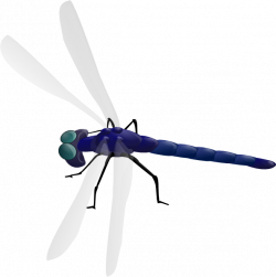 Dragonfly 3 Clip Art at Clker.com - vector clip art online, royalty ...