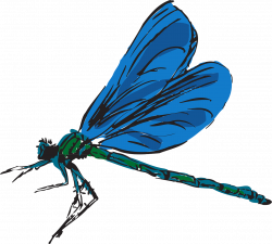 Free content Clip art - Blue dragonfly 1280*1153 transprent Png Free ...