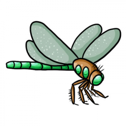 Dragonfly clipart free download free clipart images 4 ...