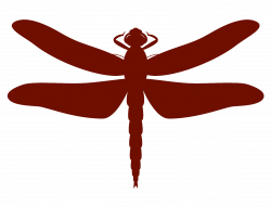 Dragonfly Clipart scroll - Free Clipart on Dumielauxepices.net