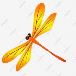 Dragonfly Cartoon Orange Dragonfly Summer Vacation Is Here ...
