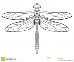 purple dragonfly clipart - Google Search | Christmas ...