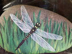 Paint A Dragonfly Rock | Painting | Painted rocks, Dragonfly ...