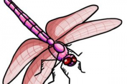 Pink dragonfly clipart 2 » Clipart Station