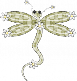Dragonfly - BClipart