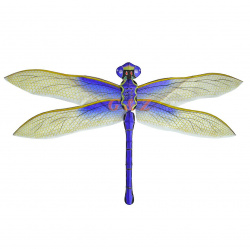 purple dragonfly clipart - Google Search | Bday wishes and ...