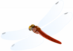 Red Dragonfly PNG Clipart - Best WEB Clipart