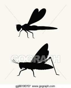 EPS Vector - Grasshopper and dragonfly shapes. Stock Clipart ...