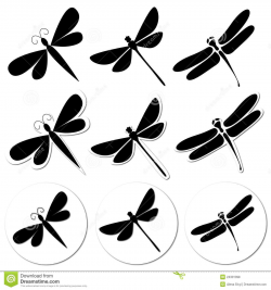 middle wing shape | Tattoos | Dragonfly drawing, Dragonfly ...
