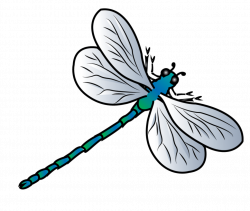 Dragonfly Background PNG | PNG Mart