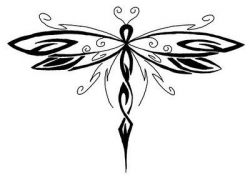 Tribal Dragonfly Drawing | TATOOS | Dragonfly tattoo ...
