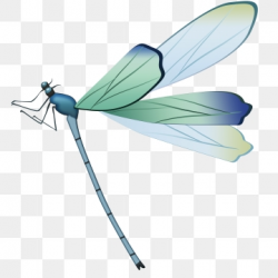 Dragonfly Clipart Images, 187 PNG Format Clip Art For Free ...
