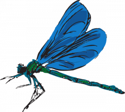 Dragonfly Art Clip Art at Clker.com - vector clip art online ...
