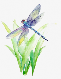 Watercolor Dragonfly | Watercolor Pictures in 2019 ...