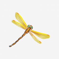 Yellow Dragonfly Illustration Flying Dragonfly Yellow Wings ...