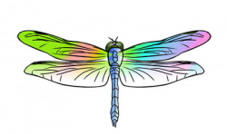 50 FREE Dragonfly Clip Art 8