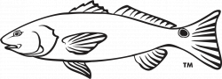 28+ Collection of Red Fish Drawing | High quality, free cliparts ...