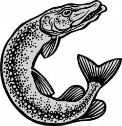Jumping Fish Clip Art at Clker.com - vector clip art online, royalty ...
