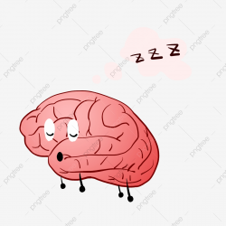 Pink Sleeping Brain Illustration, Sleeping Brain, Nervous ...