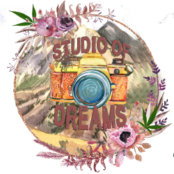 Studio of Dreams