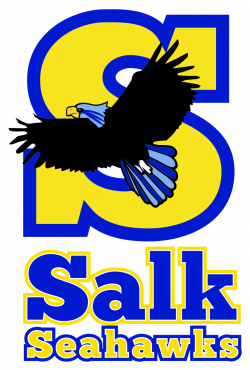 Salk Elementary Information / Safety Drill Log