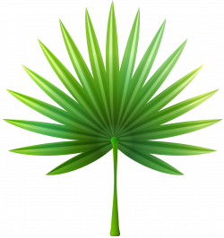 Exotic Leaf PNG Clip Art - Best WEB Clipart