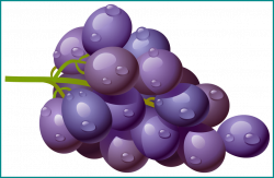 Amazing Grape Png Clipart Picture Clip Art Image Of Coconut Drink ...