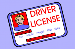 Your Driver's License Will Look Different in 2018