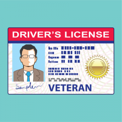 Veteran's Indicator on Driver's License Now Free in ...