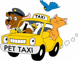 Pet Taxi | Pet Transport | Philadelphia | Bucks County | Jersey